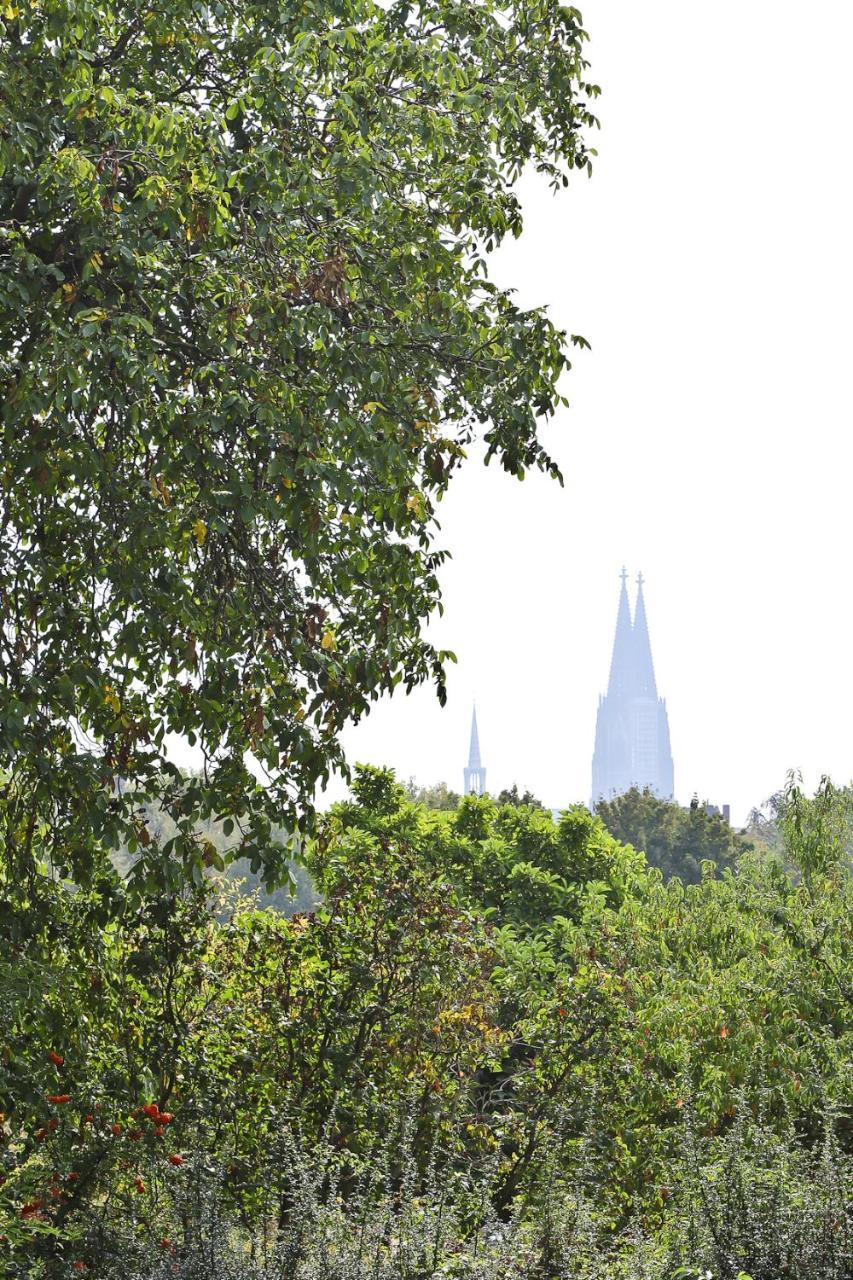 Top Apartments In Zentraler Lage Köln Kültér fotó